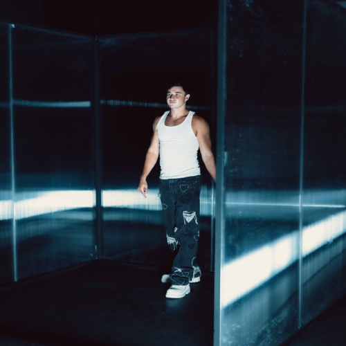 Crystallized release cover art