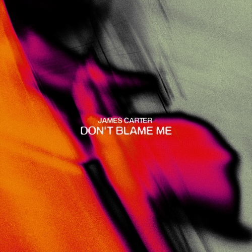 Don't Blame Me release cover art