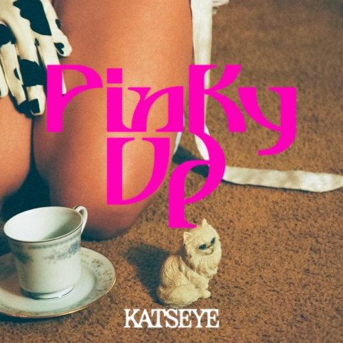 PINKY UP release cover art