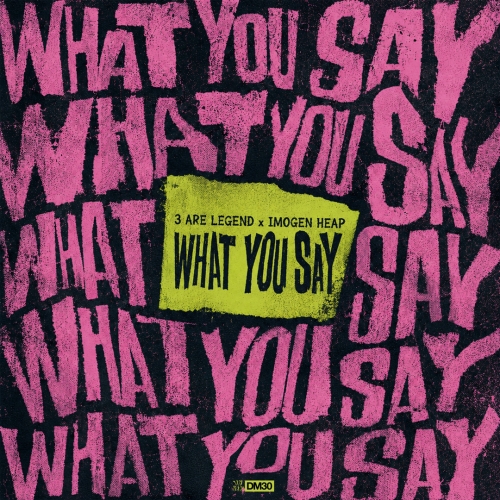 What You Say release cover art