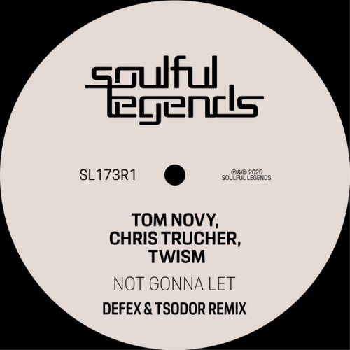 Not Gonna Let (Defex &amp; Tsodor Remix) release cover art