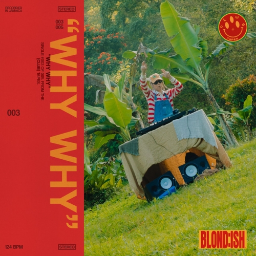 Why Why release cover art